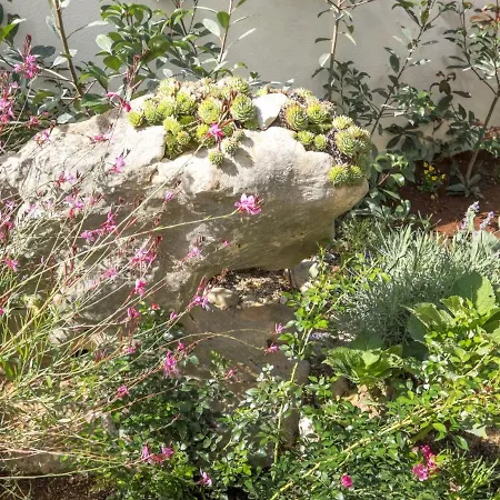 Appartamento Mavel Umago