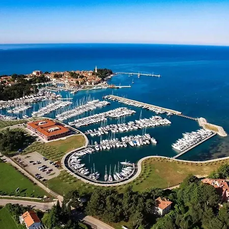 Mavel Umag